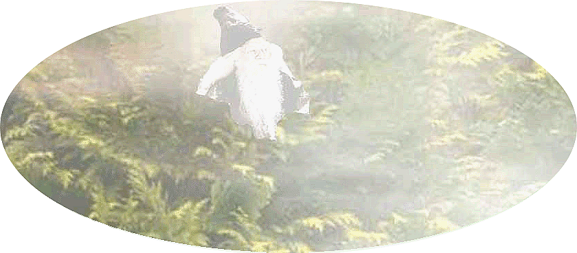 Wizard
